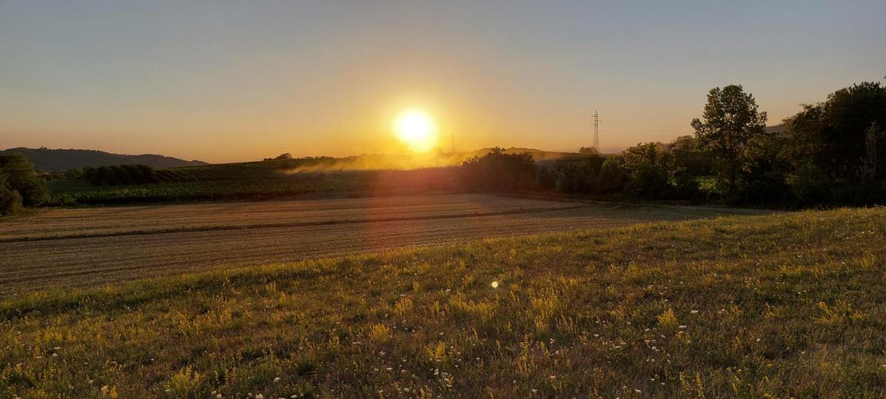 Panorama Glamping Vipavska Dolina Daire Dobravlje Dış mekan fotoğraf